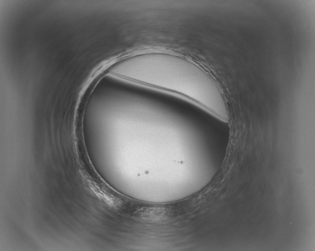 X0000079320104200611170941