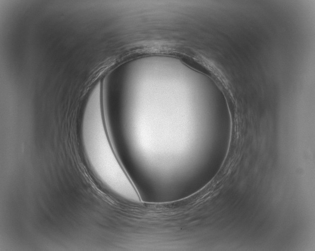 X0000079320105200611170941
