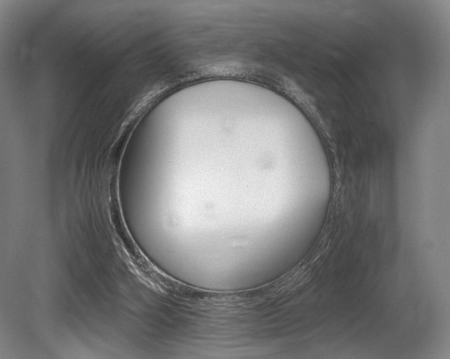 X0000079320106200611170941