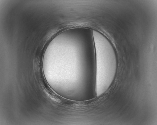 X0000079320107200611170941