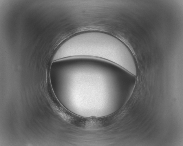X0000079320109200611170941