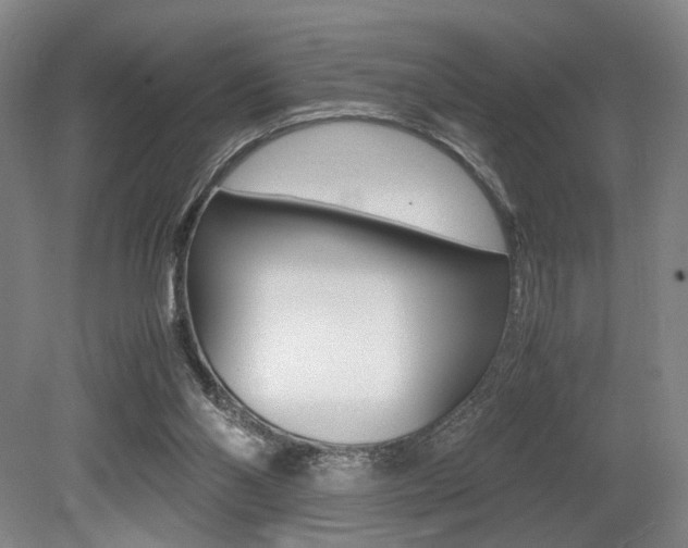 X0000079320110200611170940