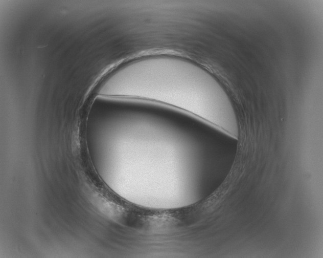 X0000079320112200611170940