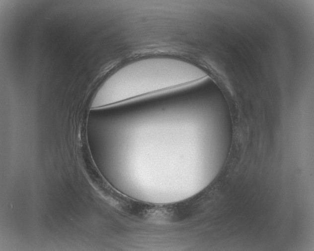 X0000079320115200611170940