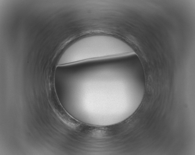 X0000079320116200611170940