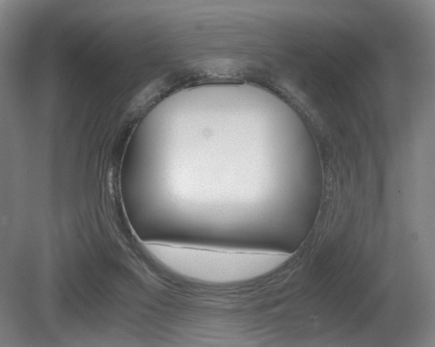 X0000079320117200611170940