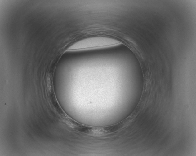 X0000079320121200611170940