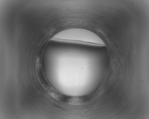 X0000079320123200611170940