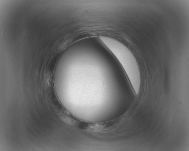 X0000079320125200611170940