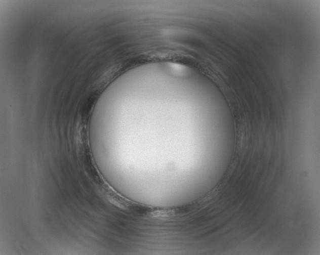 X0000079320126200611170940
