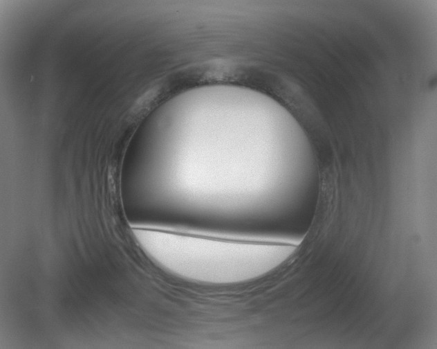 X0000079320127200611170940