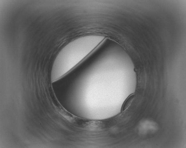 X0000079320128200611170940