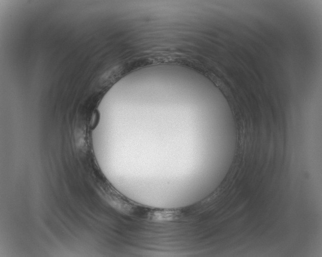 X0000079320134200611170940