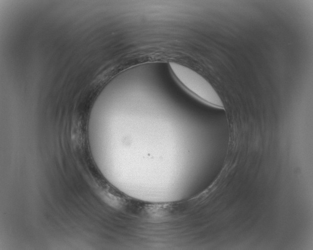 X0000079320136200611170940
