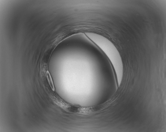 X0000079320141200611170940