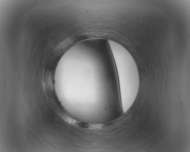 X0000079320143200611170940