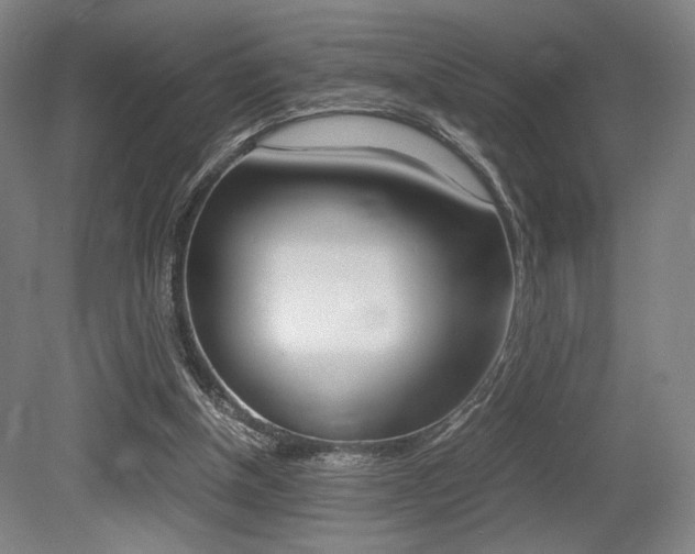 X0000079320154200611170939
