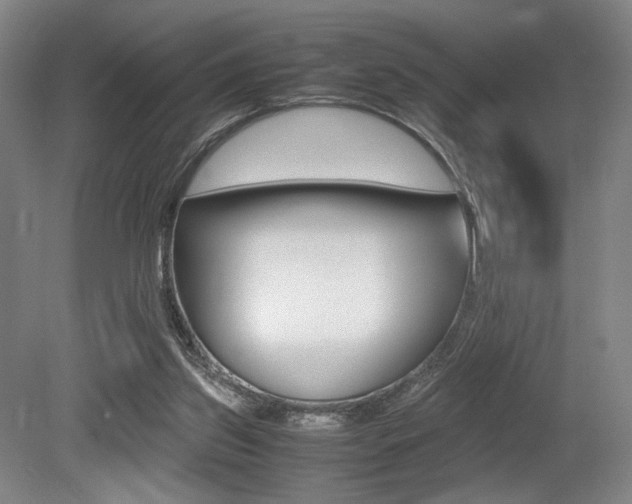 X0000079320157200611170939