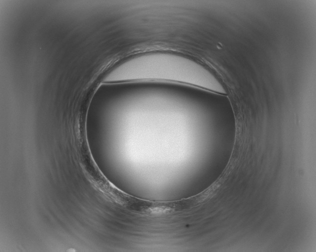 X0000079320158200611170939