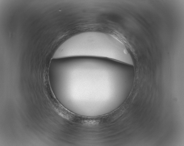 X0000079320161200611170939