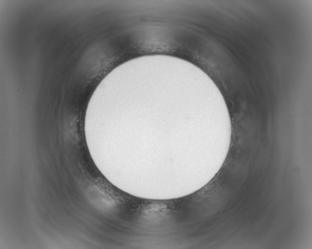 X0000079320162200611170939