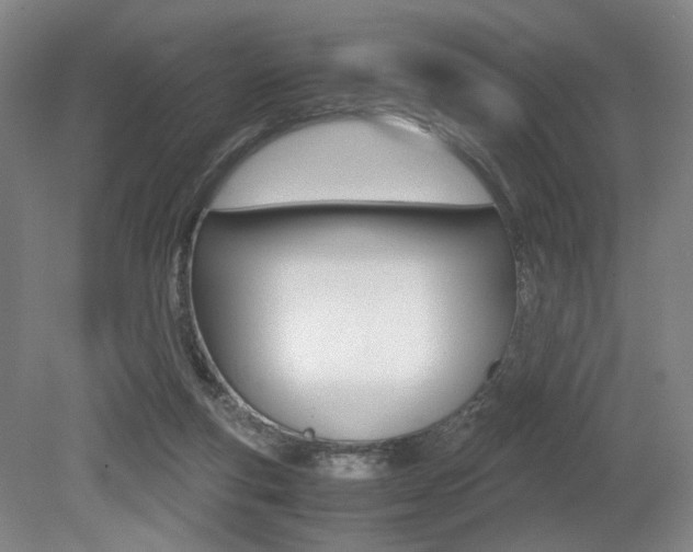 X0000079320163200611170939