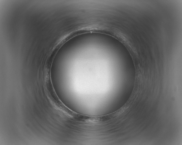 X0000079320164200611170939