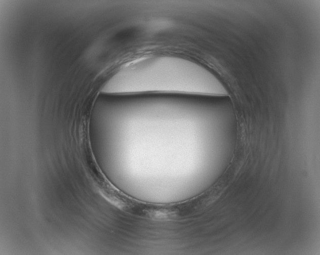 X0000079320165200611170939