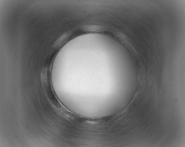 X0000079320167200611170939