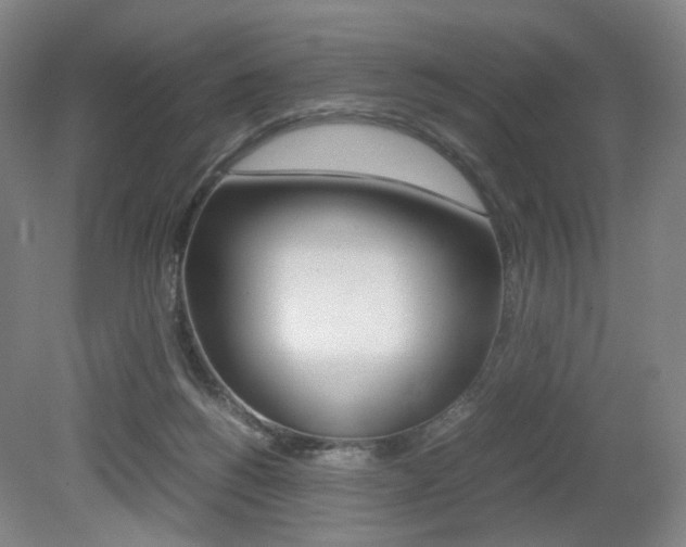 X0000079320168200611170940