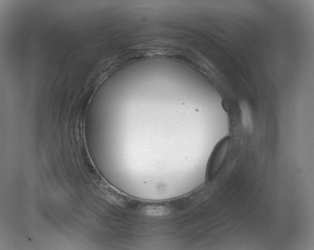 X0000079320169200611170940