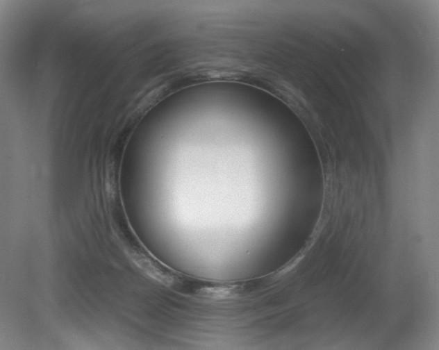 X0000079320170200611170940