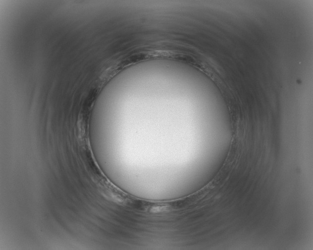 X0000079320173200611170940