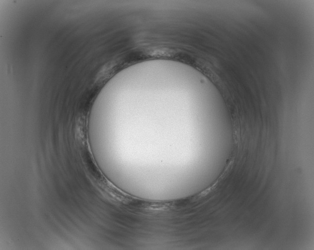 X0000079320175200611170940