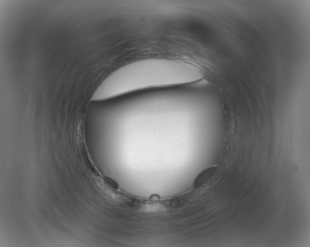 X0000079320177200611170940