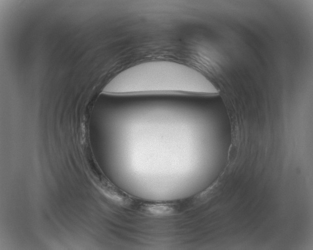 X0000079320183200611170940
