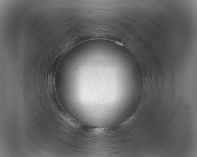 X0000079320184200611170940