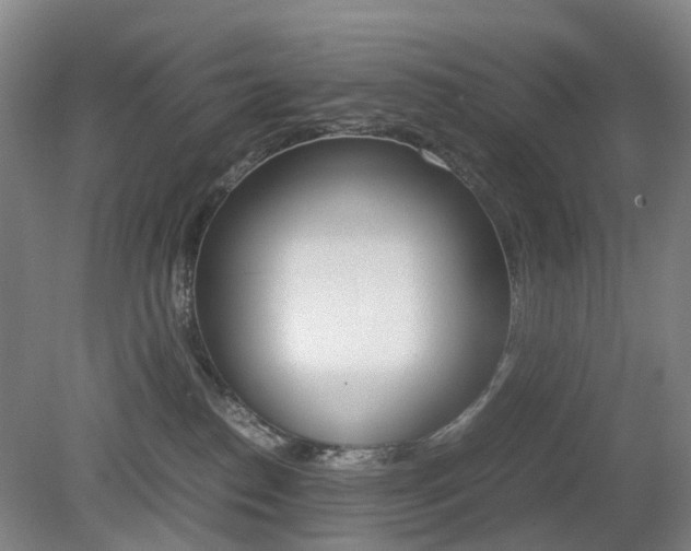 X0000079320186200611170940