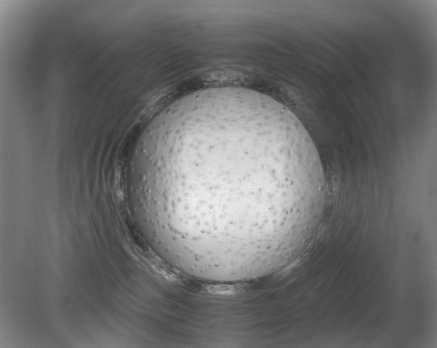 X0000079320187200611170940