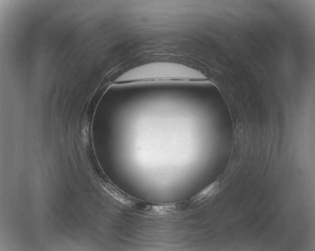 X0000079320188200611170940