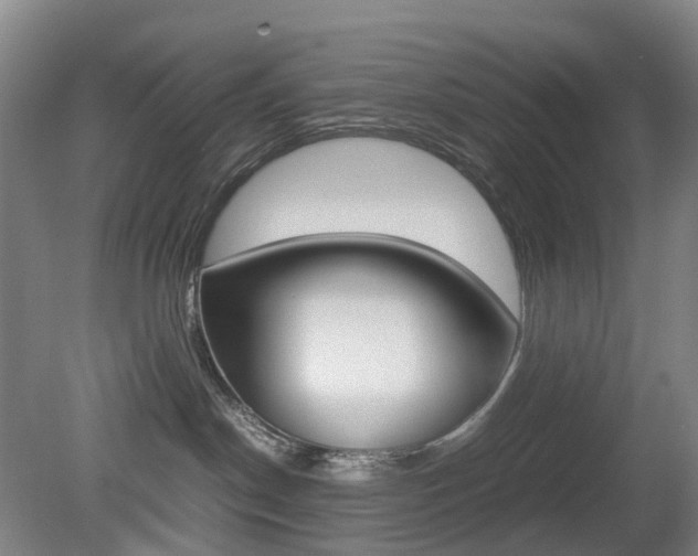 X0000079320190200611170940
