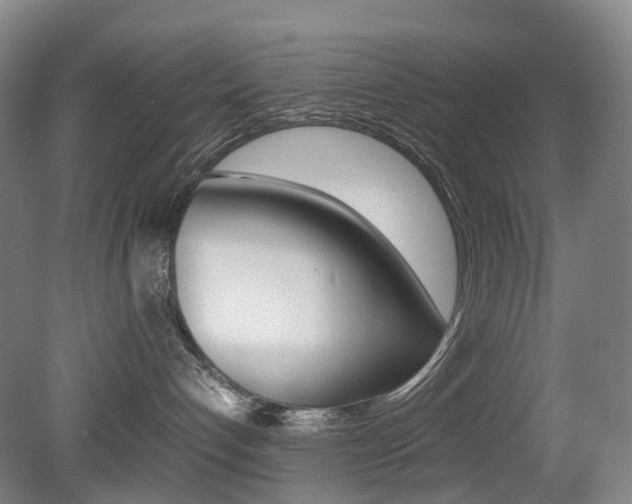 X0000079320192200611170940