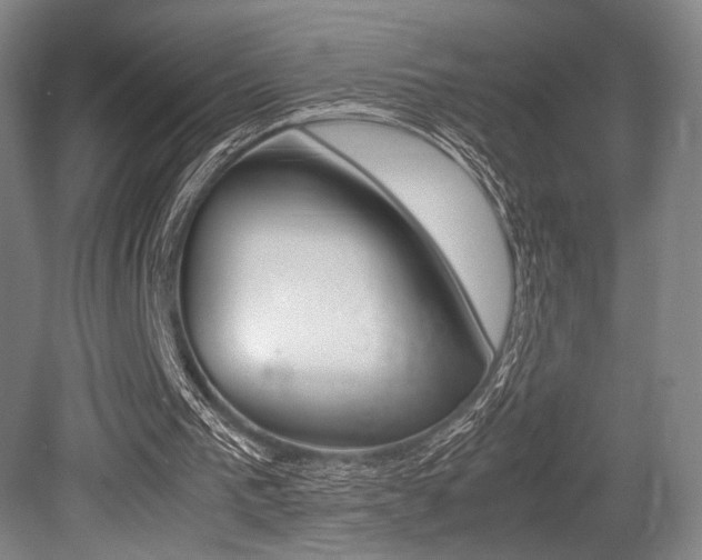 X0000079320193200611170939