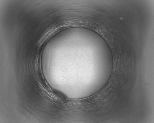 X0000079320194200611170939