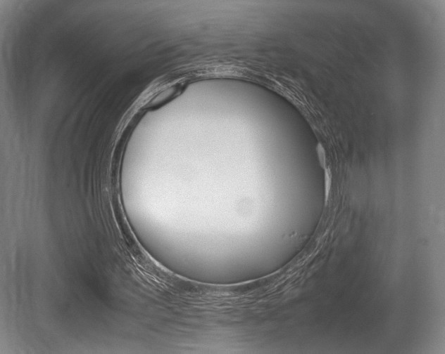 X0000079320195200611170939