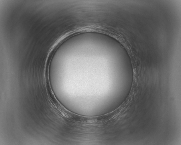 X0000079320196200611170939
