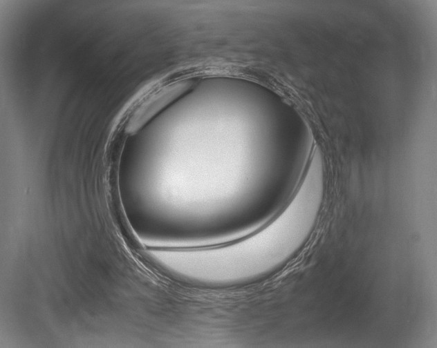 X0000079320197200611170939