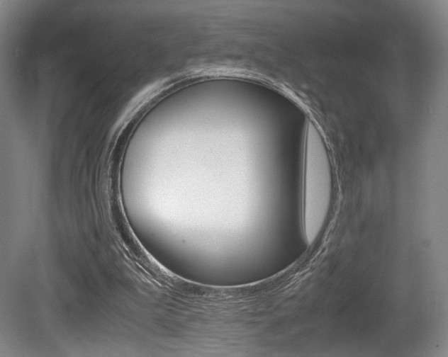 X0000079320199200611170939