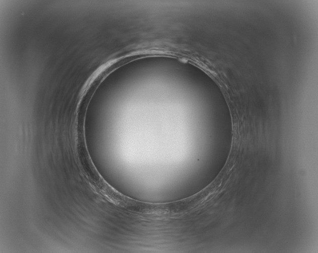 X0000079320200200611170939