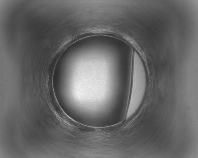 X0000079320201200611170939